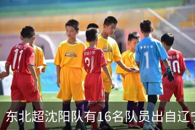 东北超沈阳队有16名队员出自辽宁铁人青训，前两场球队一共进4球